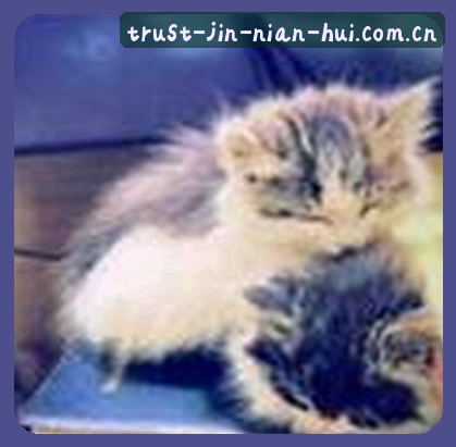 吴芳